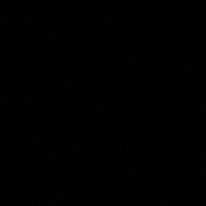 Meet your Posher, Parker